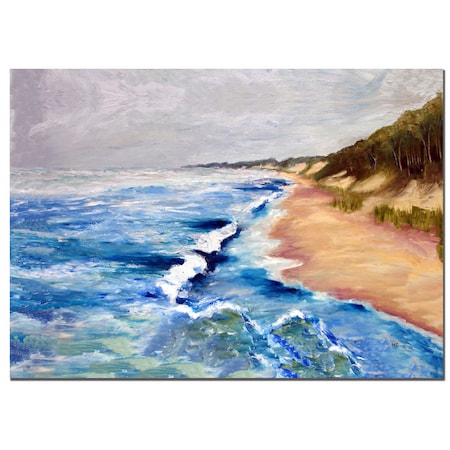 Trademark Fine Art Lake Michigan Beach with Whitecaps I Michelle Calkins, 18x24 MC007-C1824GG